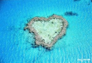 nature-creating-heart-with-art-2