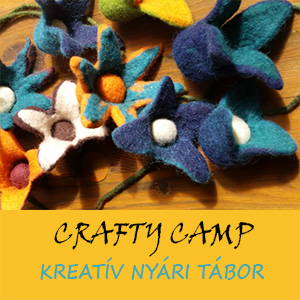 CRAFTYCAMP300ok