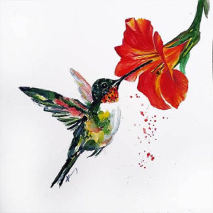 017200 hummingbird s