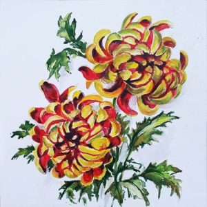 017207 krizantem s