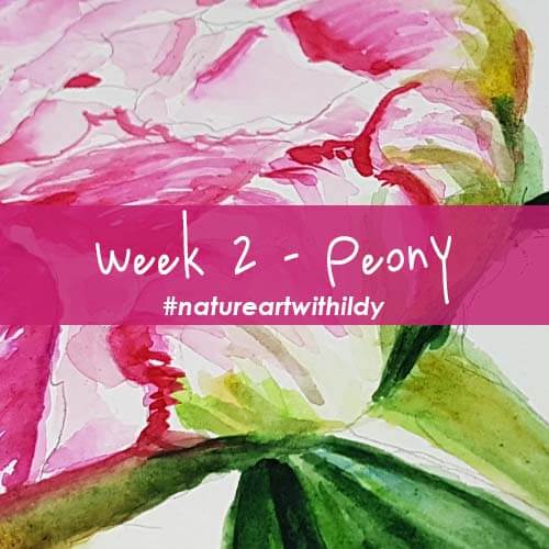 peony