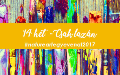 2017 14 hét CSAK LAZÁN – PÁR PERCES VIRÁGOK -natureart egy éven át