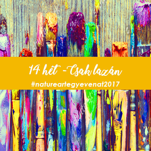 2017 14 hét CSAK LAZÁN – PÁR PERCES VIRÁGOK -natureart egy éven át