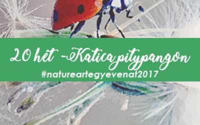 2017 20 hét KATICA PITYPANGON -natureart egy éven át