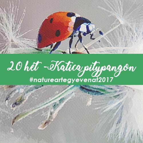 2017 20 hét KATICA PITYPANGON -natureart egy éven át