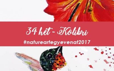 2017 34 hét KOLIBRI-natureart egy éven át