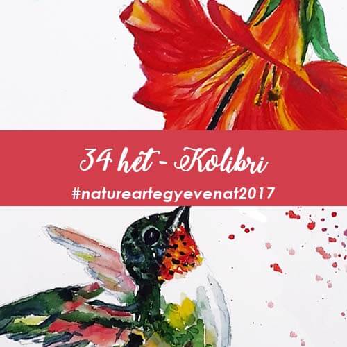 2017 34 hét KOLIBRI-natureart egy éven át
