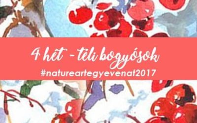 2017. 4 hét: TÉLI BOGYÓSOK -natureart egy éven át-