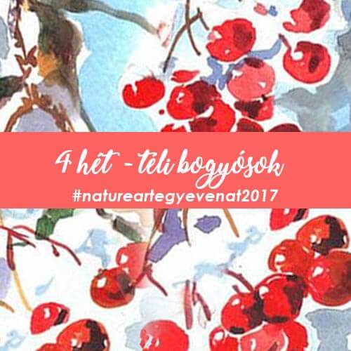 2017. 4 hét: TÉLI BOGYÓSOK -natureart egy éven át-