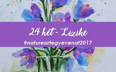 2017 24 hét LIZIKE -natureart egy éven át