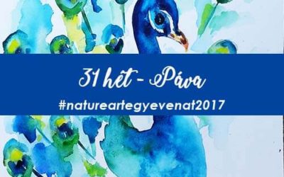 2017 31 hét PÁVA-natureart egy éven át