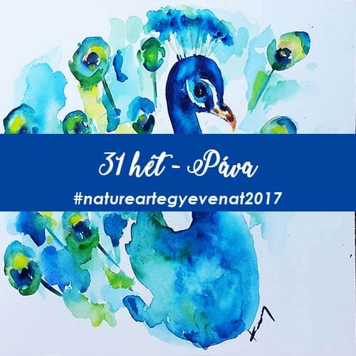 2017 31 hét PÁVA-natureart egy éven át