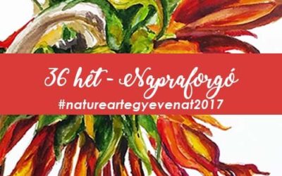 2017 36 hét NAPRAFORGÓ-natureart egy éven át
