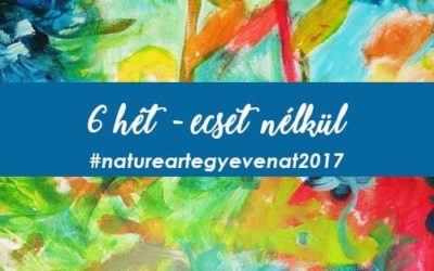 2017. 6 hét: ECSET NÉLKÜL -natureart egy éven át-