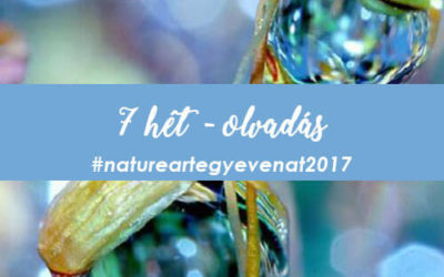 2017. 7 hét: OLVADÁS -natureart egy éven át-