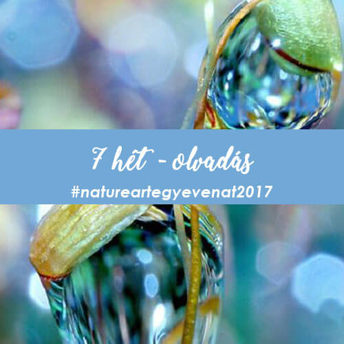 2017. 7 hét: OLVADÁS -natureart egy éven át-