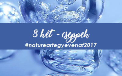 2017. 8 hét: CSEPP -natureart egy éven át-