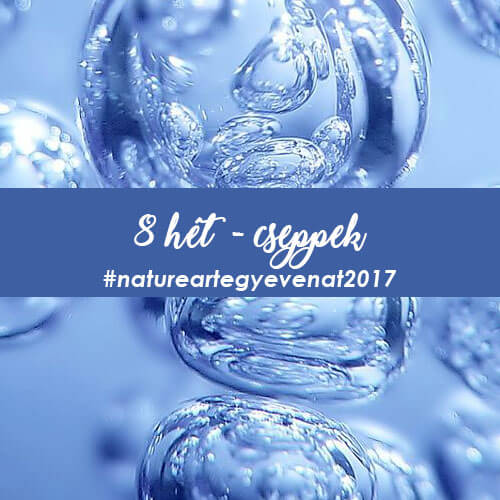2017. 8 hét: CSEPP -natureart egy éven át-