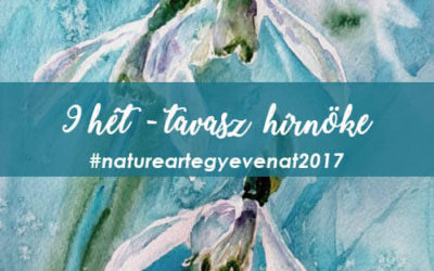 2017. 9 hét: TAVASZ HÍRNÖKE -natureart egy éven át-