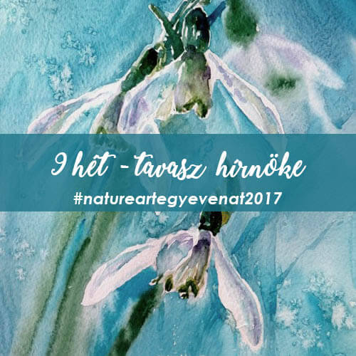 2017. 9 hét: TAVASZ HÍRNÖKE -natureart egy éven át-