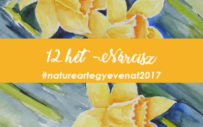 2017. 12 hét: NÁRCISZ -natureart egy éven át-