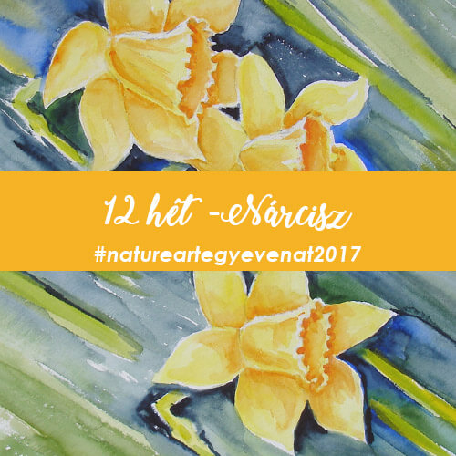 2017. 12 hét: NÁRCISZ -natureart egy éven át-