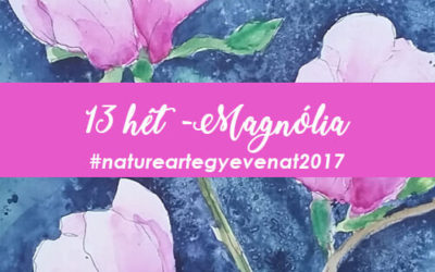 2017 13 hét MAGNÓLIA -natureart egy éven át