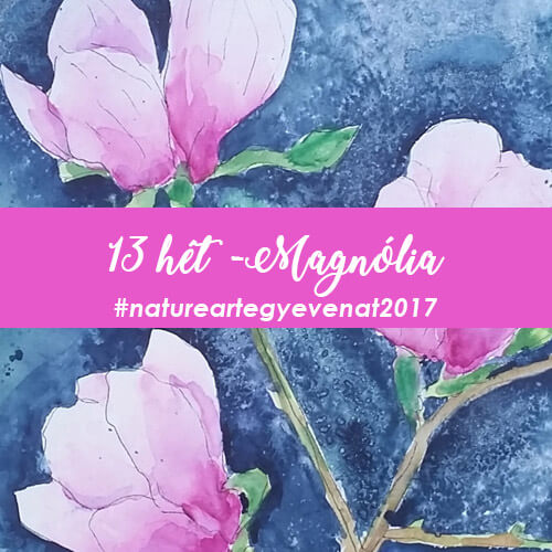 2017 13 hét MAGNÓLIA -natureart egy éven át