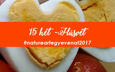 2017 15 hét HÚSVÉTI KÉSZÜLŐDÉS 2 -natureart egy éven át