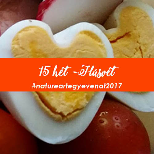 2017 15 hét HÚSVÉTI KÉSZÜLŐDÉS 2 -natureart egy éven át
