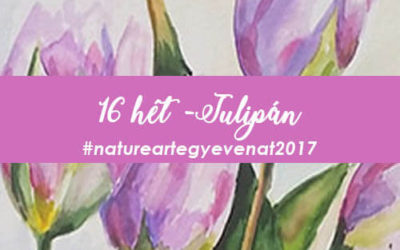 2017 16 hét TULIPÁN -natureart egy éven át