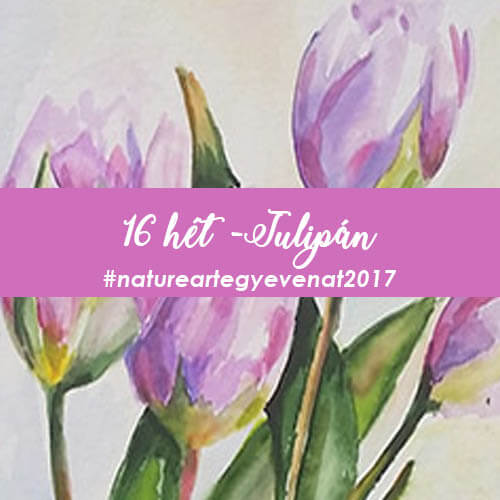 2017 16 hét TULIPÁN -natureart egy éven át