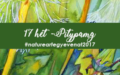 2017 17 hét PITYPANG -natureart egy éven át