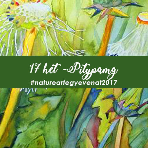 2017 17 hét PITYPANG -natureart egy éven át