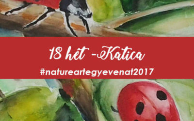 2017 18 hét KATICA -natureart egy éven át