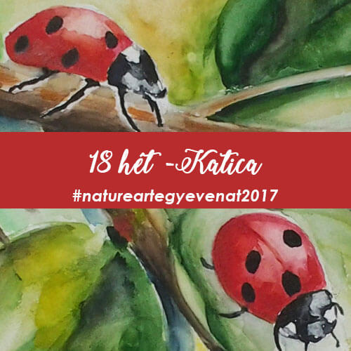 2017 18 hét KATICA -natureart egy éven át