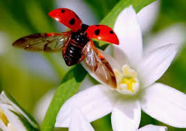 images (3)