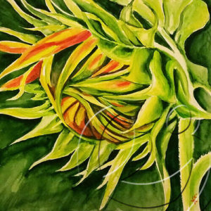 art by Ildy