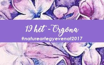 2017 19 hét ORGONA -natureart egy éven át