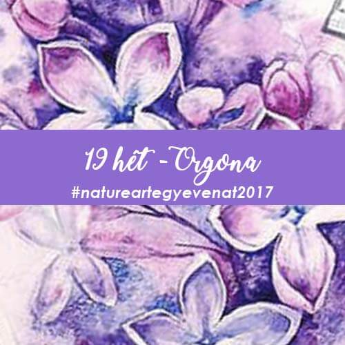 2017 19 hét ORGONA -natureart egy éven át