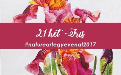 2017 21 hét IRIS -natureart egy éven át