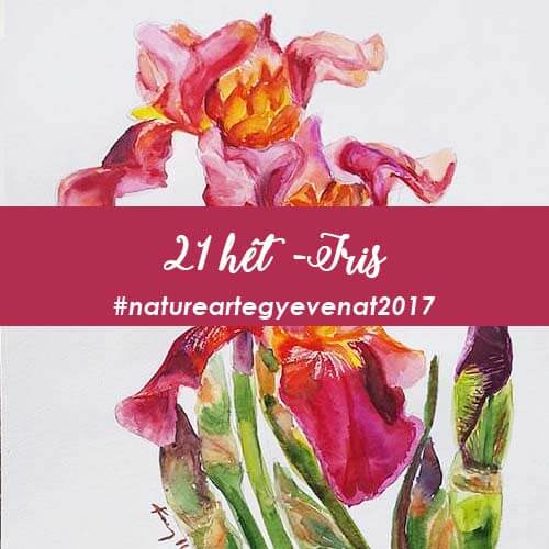 2017 21 hét IRIS -natureart egy éven át