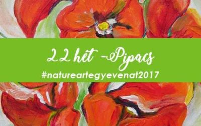2017 22 hét PIPACS -natureart egy éven át