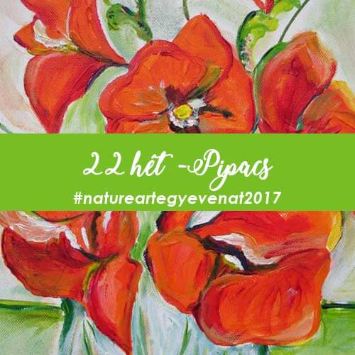 2017 22 hét PIPACS -natureart egy éven át