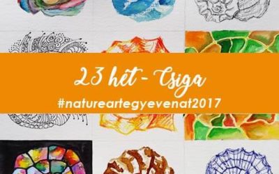 2017 23 hét CSIGA -natureart egy éven át