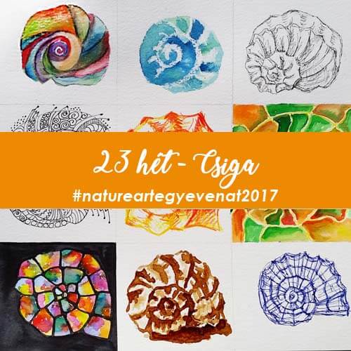 2017 23 hét CSIGA -natureart egy éven át