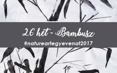 2017 26 hét BAMBUSZ -natureart egy éven át