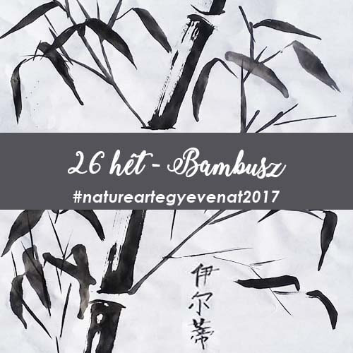 2017 26 hét BAMBUSZ -natureart egy éven át