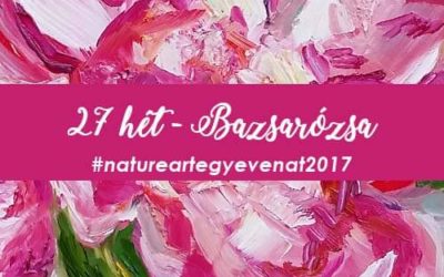 2017 27 hét BAZSARÓZSA-natureart egy éven át