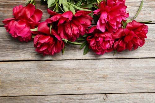peony7